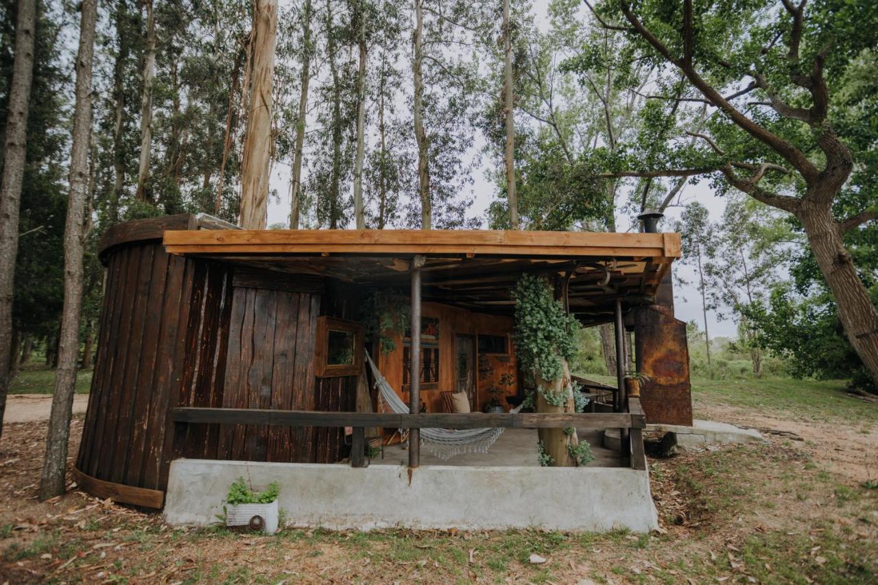 Cabanas En El Bosque A 5 Minutos Del Mar - Estancia Ch 埃斯特角城 外观 照片