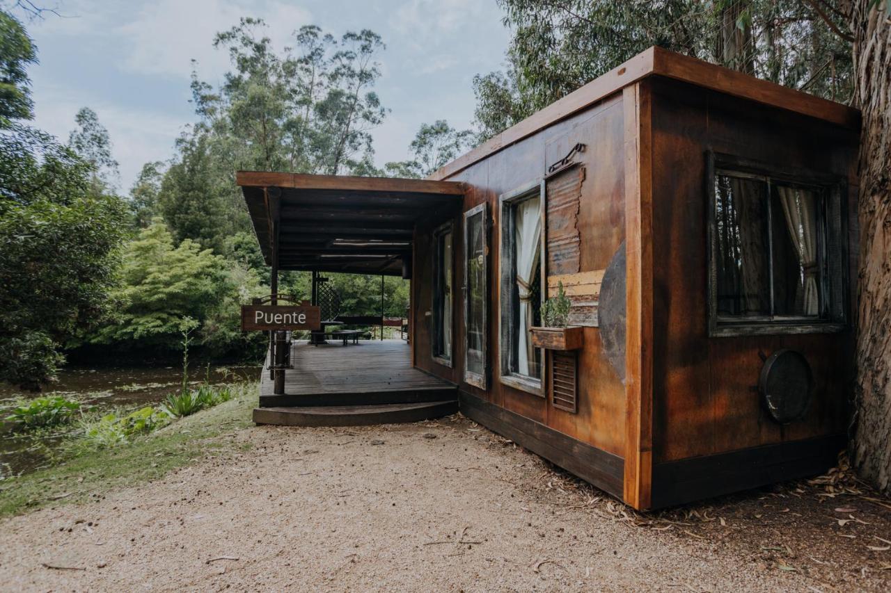 Cabanas En El Bosque A 5 Minutos Del Mar - Estancia Ch 埃斯特角城 外观 照片